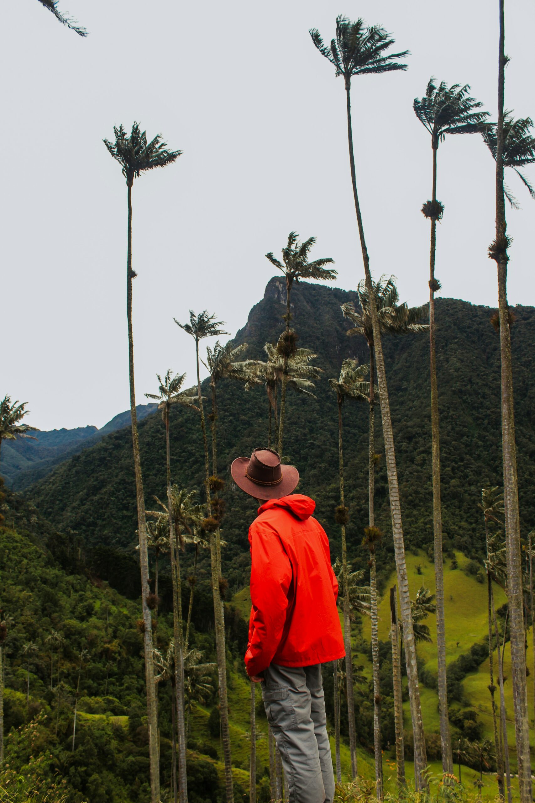 backroad packers v pcqytq15w unsplash