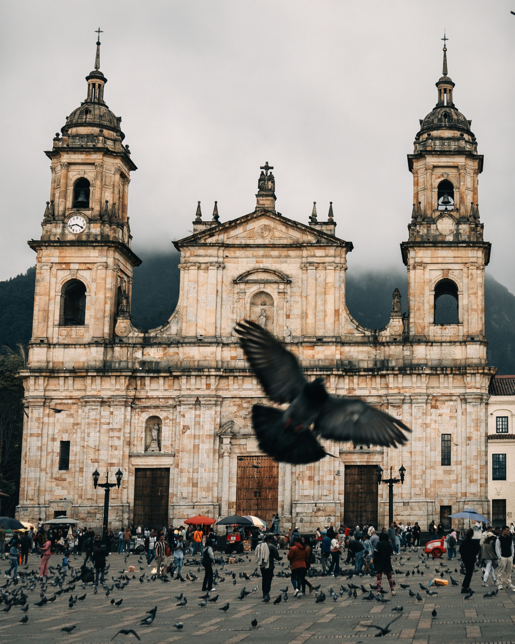 carlos martinez hofwnljhdem unsplash